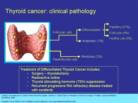 Management Advances for Differentiated and Medullary Thyroid Carcinoma