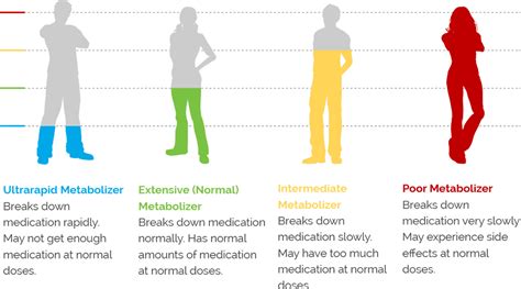 Interpreting the GeneSight® Psychotropic Report | GeneSight