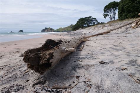 The Coromandel peninsula, hot water beach and cathedral cove - Chase the Horizon Travel Blog