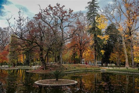 Zugdidi Botanical Garden - European Route of Historic Gardens