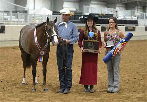 GoHorseShow - RL Sasha Fierce Mike Tivoli NSBA trophy Longe line