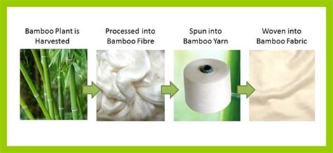 Bamboo Fiber || Properties || Processing || Applications