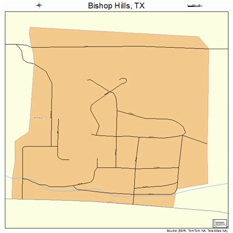 Bishop Hills Texas Street Map 4808398