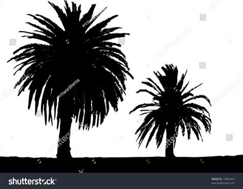 Two Palm Trees Silhouette Stock Vector (Royalty Free) 13866493 ...