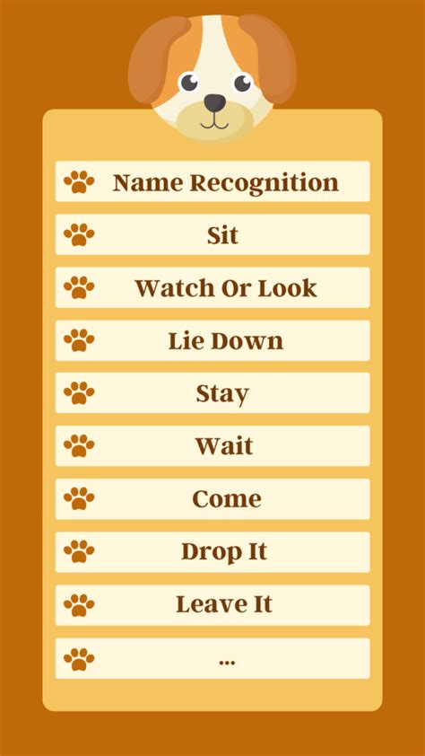 Dog Training Commands List 2024 - Basic to Advanced