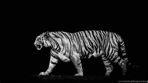 Black Tiger Android Wallpapers - Wallpaper Cave