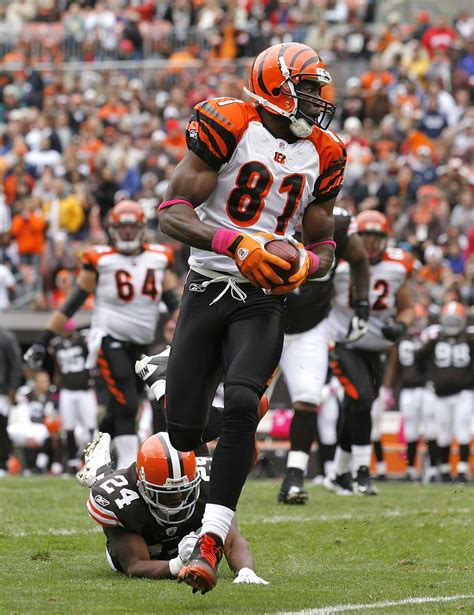 Cincinnati Bengals: Can Terrell Owens Repeat His Week 4 Performance In Week 5? | News, Scores ...