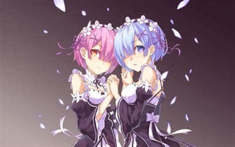 5 Unique Differences Between Rem And Ram From ReZero