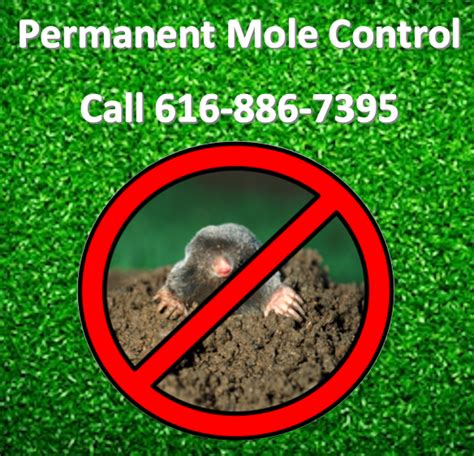 Landscape Photography | Permanent Mole Control