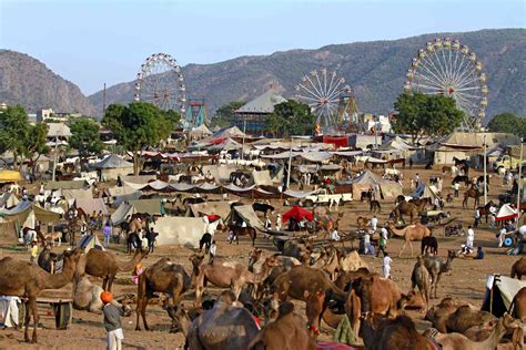 2021 Pushkar Camel Fair: Essential Festival Guide