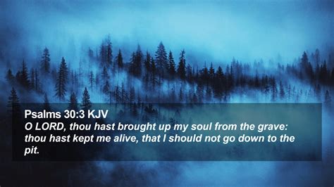 Psalms 30:3 KJV Desktop Wallpaper - O LORD, thou hast brought up my soul from the