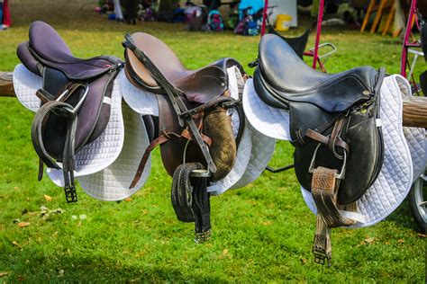 The 3 Best English Saddles: Reviews & Buying Guide - Equineigh