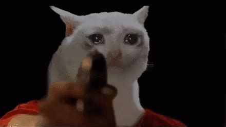 Sad Cat GIF - Sad Cat Gun - Discover & Share GIFs