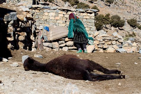 Like stepping into the past: Life in a Berber village in the High Atlas mountains of Morocco ...