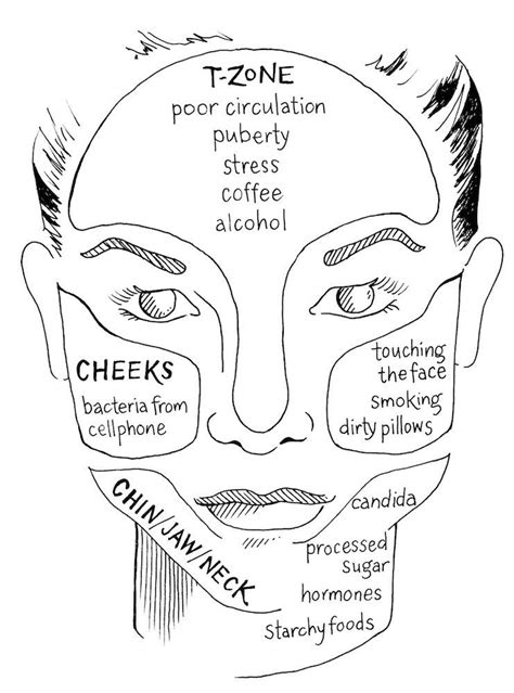 An Ayurvedic approach to why your t-zone, cheeks, or jawline acne is ...