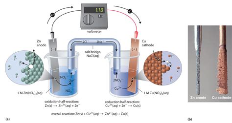 chem2U: Daniell Cell