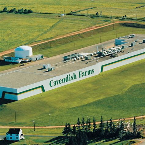 Our Story | Our Business | Our Values | Cavendish Farms