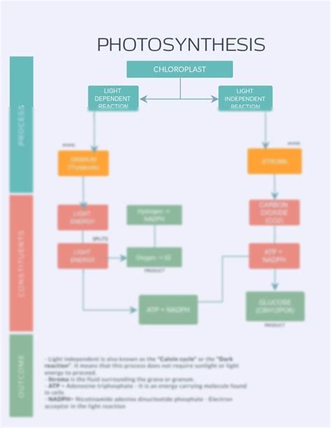 SOLUTION: Photosynthesis Constituents Flow Chart - Studypool