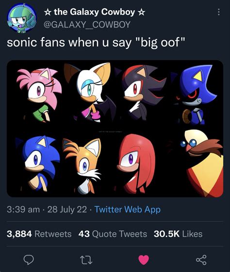 Sonic Fans when you say Big Oof | Sonic's "Big Oof" | Know Your Meme