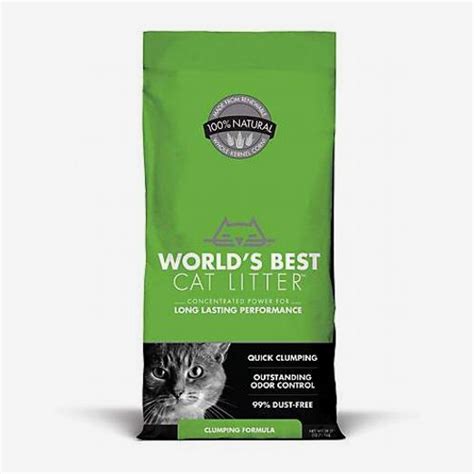 10 Best Cat Litters | The Strategist