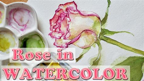 Rose in WATERCOLOR | TUTORIAL for BEGINNERS - YouTube