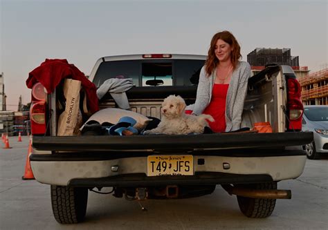 How Do You Transport A Dog In A Truck Bed