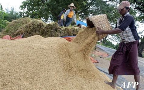 Myanmar Agriculture Sector News - InvestMyanmar.biz