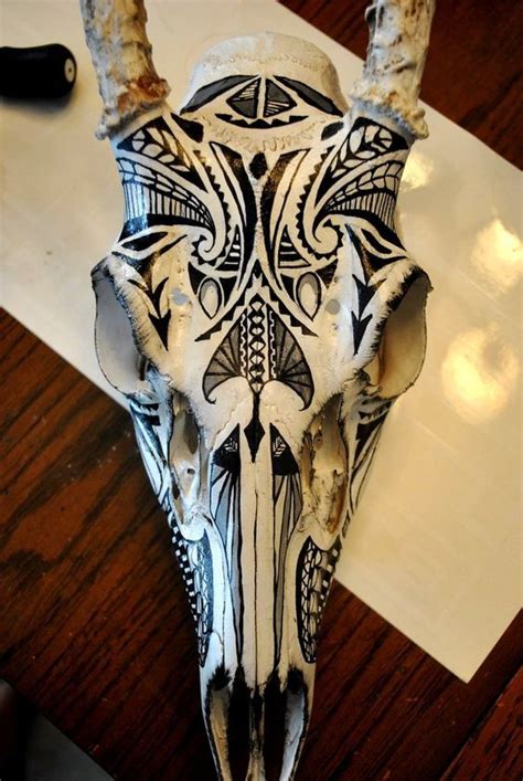 painted animal skull, I think I might start doing this.: | Painted animal skulls, Painted deer ...