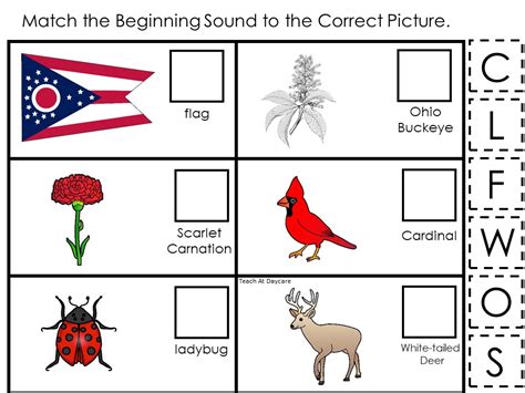 30 Ohio State Symbol Educational Geography Games. | Made By Teachers