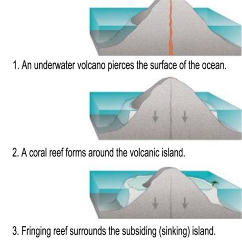 Atoll Formation Animation