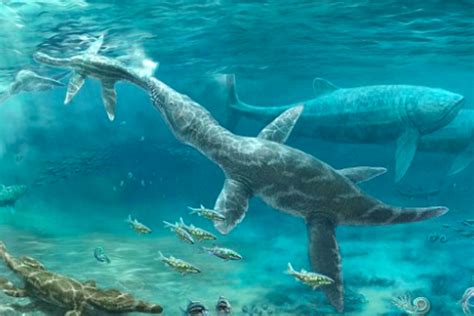 Deep ocean predators thrived during ancient climate change • Earth.com