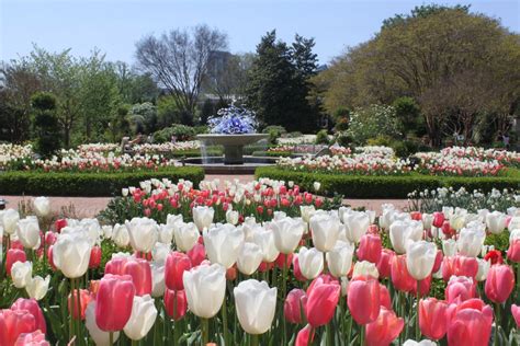 Atlanta Botanical Garden, - Sports-Outdoors Review - Condé Nast Traveler