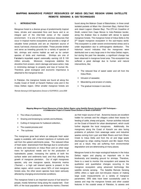 Mangroves of Indus Delta 2008 | PDF | Mangrove | Indus River