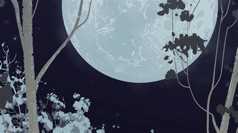 Wallpaper full moon, forest, vector, night hd, picture, image