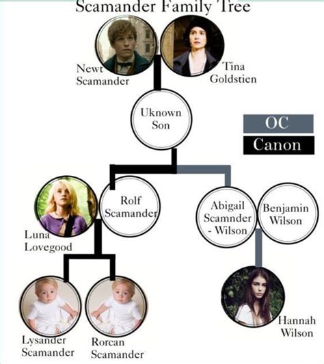 Newt Scamander Family Tree