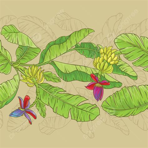 Babana Vector Pattern Banana Tropical Background, Vector, Fresh, Drawing Background Image And ...