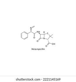 Metampicillin Flat Skeletal Molecular Structure Penicillin Stock Vector ...