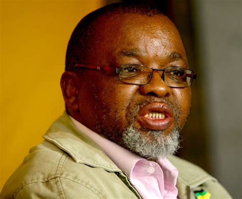 WATCH: Gwede Mantashe says he can lead the ANC