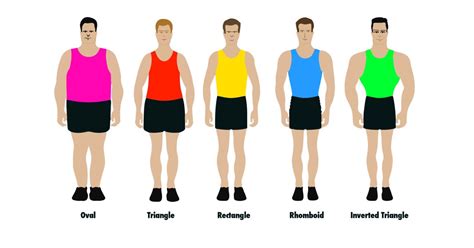 There are only five male body shapes, according to health experts | Metro News