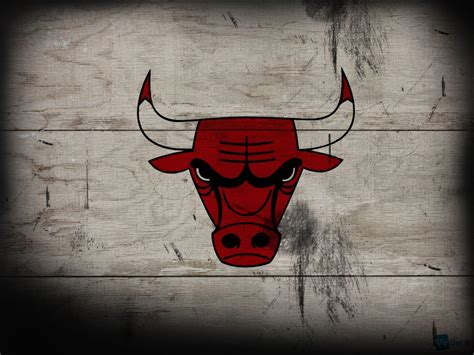 Bull Wallpapers HD - Wallpaper Cave