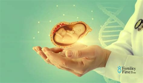 Exploring the Science and Process: What Is A Test Tube Baby?