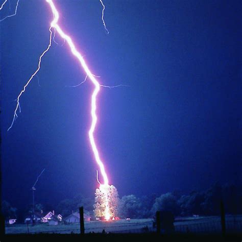 Lightning Wallpaper, Lightning Hits Tree, #17569