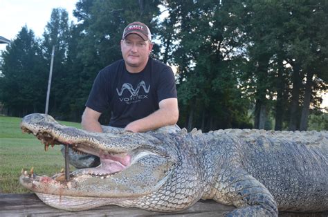 Mississippi alligator record now at 792 pounds