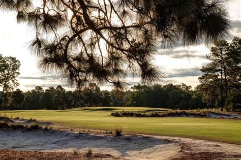 Pinehurst No. 2 Golf Course - North Carolina – Voyages.golf