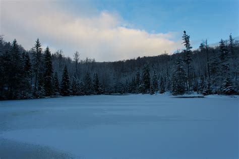 Bavarian Forest Winter