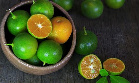 What Is Calamansi? All About This Tiny Filipino Citrus Fruit | Calamansi, Citrus fruit, Fruit