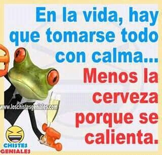 Refranes | Frases de buen humor, Refranes divertidos, Chistes geniales