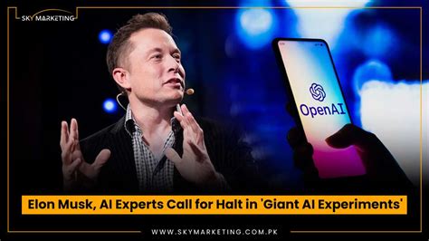 Elon Musk, AI Experts Call for Halt in ‘Giant AI Experiments’ - Sky ...