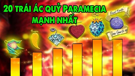 Xếp Hạng 20 Trái Ác Quỷ Paramecia Mạnh Nhất One Piece - YouTube