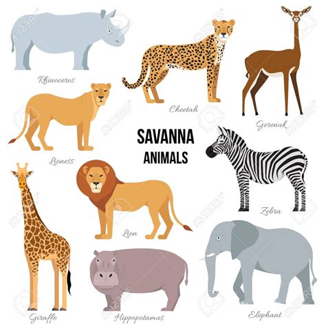 Savanna Animals Clipart Cartoon